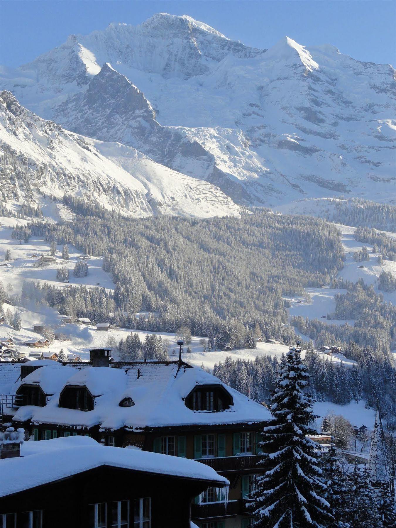 Hotel Alpenruhe - Vintage Design Hotel Wengen Exterior foto